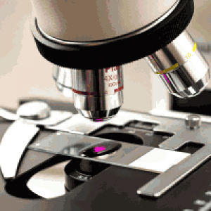 BioMedQC USP 797