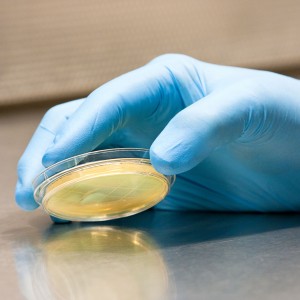 BioShield Surface Sampling
