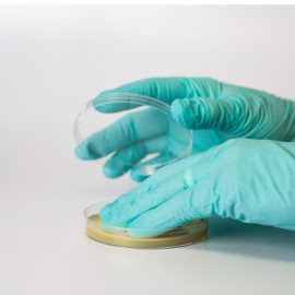 Gloved Finger Tip Testing Plates